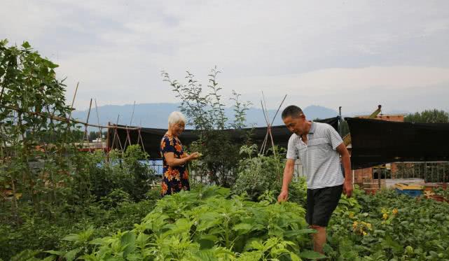 濟南南部山區有不少小產權房依山傍水