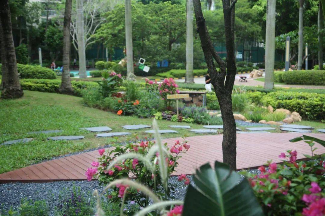 深圳每個區域的小產權房價格是多少