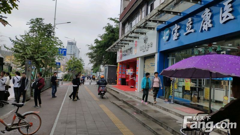 坂雪崗科技城片區被納入都市核心區